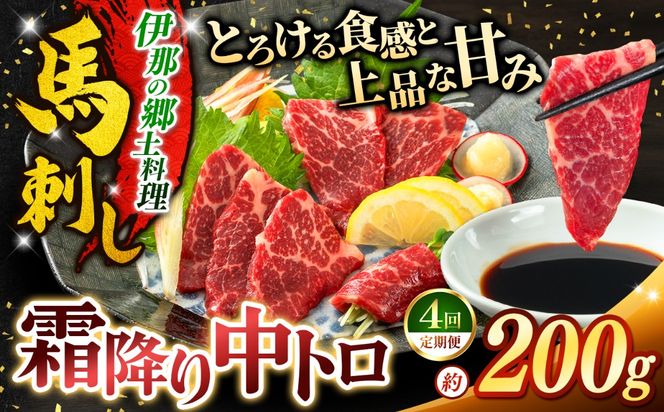 馬刺し 【4ヶ月定期便】 霜降り中トロ馬刺し 約200g | 馬刺し 鮮馬刺し 霜降り 中トロ 馬刺し とろける 馬刺 長野 信州 濃い旨み 贅沢 馬肉 お肉 刺身 冷凍 小分け 送料 無料 伊那 信州【042-04】