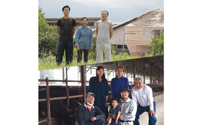 993.【和牛セレブ（6ヶ月定期便）】鳥取県産牛ヒレステーキ2枚×6か月間 313726_BM024