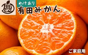 家庭用 有田みかん（完熟）5kg+250g（傷み補償分）【わけあり・訳あり】【光センサー選別】＜11月より順次発送予定＞【ikd007D】