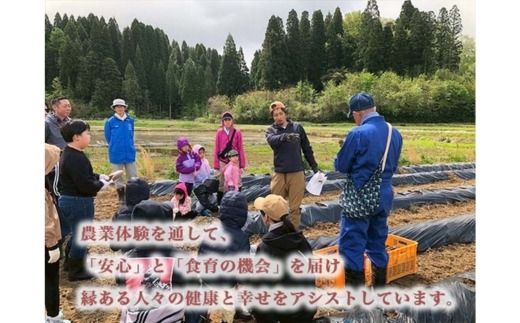 【射水の美味しいお米】【自然栽培農法】自然栽培農家 marufarm 自然栽培米「イセヒカリ」5kg ※2026年10月～発送