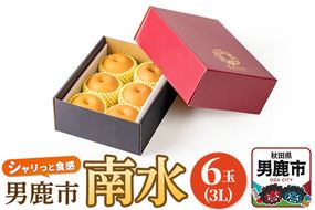 【令和8年度 早期受付】南水 6玉 3L 梨 なし ナシ 秋田県 男鹿市 旬の果物 フルーツ|23_fre-060601