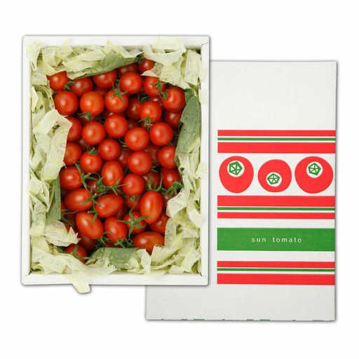 【訳あり】【先行予約】訳あり 赤いミニトマトの宝石箱 約3kg / たっぷり楽しむ食べ比べセット〈2026年11月下旬～2027年5月下旬まで〉 トマト とまと ミックス 詰め合わせ セット 野菜 料理 サラダ マリネ パスタ 浅漬け おやつ 弁当 甘味 酸味 新鮮 訳アリ 高知県 土佐市【ファーム輝】 [BQBM011]