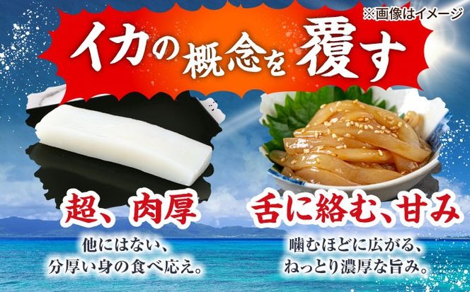セーイカ (そでいか) 0.6kg (300g ×2パック) 沖縄市 / 沖縄市漁業協同組合 パヤオ直売店[BCDZ002]