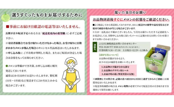 【3ヶ月定期便】クラウンメロン（山等級）１玉入 