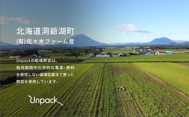 北海道産 乾燥ビタミン大根 100g 詰め替え用 北海道 道産 乾燥 野菜 乾燥野菜 だいこん 大根 ダイコン ビタミン 無農薬 安心 安全 料理 味噌汁 サラダ マリネ 人気 常温 お取り寄せ 送料無料 合同会社Unpack 洞爺湖町