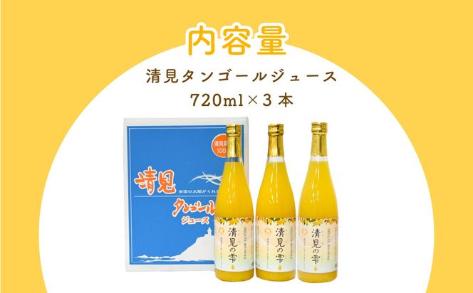 【先行予約】清見タンゴールジュース （720ml×3本）※離島への配送不可（2027年6月上旬より順次発送予定） IKTBD001