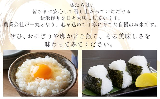 【6回定期便】令和8年産 高知県香南市産 特別栽培米 コシヒカリ 5kg - 国産 米 お米 こしひかり 白米 どうぞ ごはん おにぎり ご飯 防災 非常食 備蓄 kome 高知県 香南市 常温 Wnu-0015