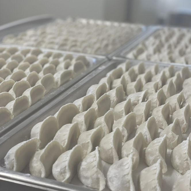 御船餃子（70個入り）【マコモタケ ぎょうざ ギョウザ 焼き餃子 水餃子 冷凍 小分け パック 茨城県 鹿嶋市 ふるさと納税】（KNO-1）