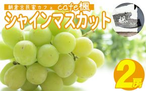シャインマスカット 2房 Cafe楓 シャイン マスカット ぶどう ブドウ 果物 フルーツ デザート 
