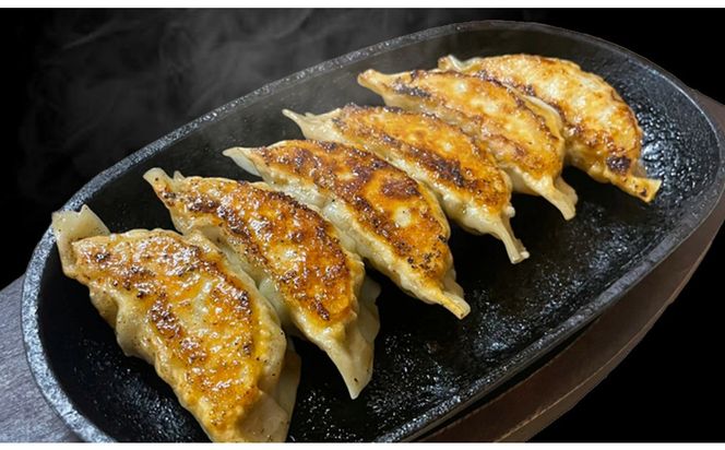 鉄板餃子歩夢　手作り餃子　1kg（和豚もちぶた使用） 【 手作り餃子 仙台 歩夢冷凍 パリパリ ジューシー肉汁 焼き餃子 家庭用 惣菜 】 041009_HV001