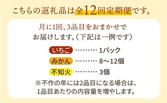【12回定期便】＜2026年1月～初回発送＞季節の果物 詰め合わせ フルーツセット 旬の果物をお任せで2〜3品目お届け (2〜3品目×12回) / 果物 セット 南島原市 / 吉岡青果 [SCZ014]