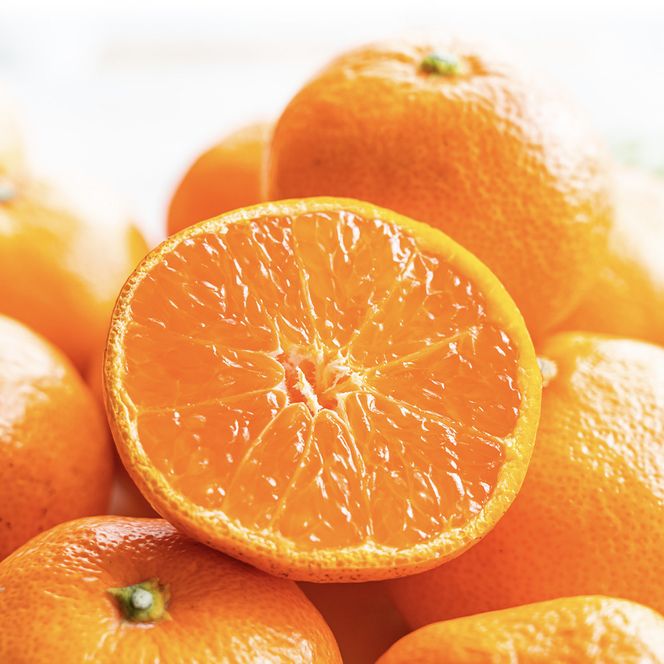 瀬戸内温州みかん（2L～Mサイズ混合）約5kg【2026年10月中旬～2027年1月下旬配送】 372013_T006-778J