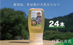 合計7200g 天然蜂蜜 国産蜂蜜 非加熱 生はちみつ 岐阜県 美濃市産 初夏 (蜂蜜300g入りピタッとボトル24本セット) B19 深田養蜂のハチミツ