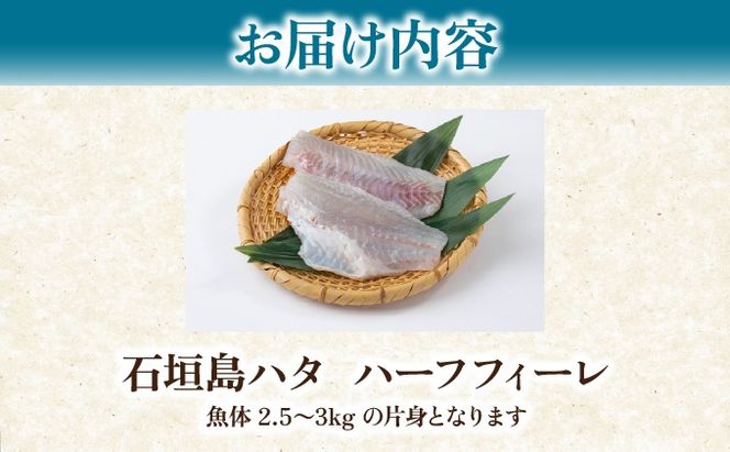 石垣島 ハタ ハーフフィーレ | 勝水産 ミーバイ ヤイトハタ 沖縄県石垣市 石垣 沖縄 石垣市 石垣島 KS-15