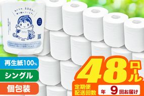 《定期便9ヶ月》【利府町オリジナル】トイレットペーパー（ロール数48個×9回）|06_sik-014809