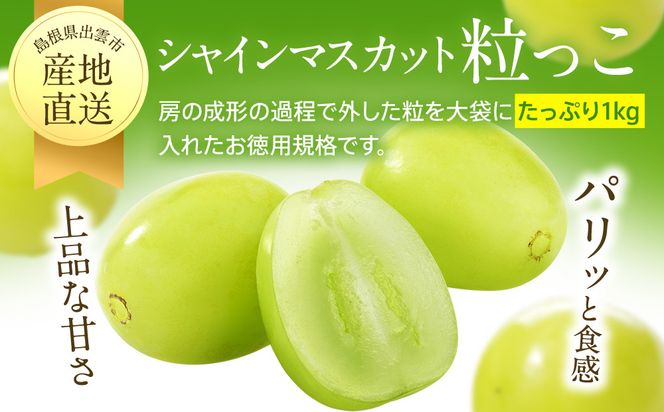 【2026年7月下旬以降発送】いずもぶどう 訳ありシャインマスカット（粒っこ）1kg見当 新鮮 甘い フルーツ 果物 322032_CG004