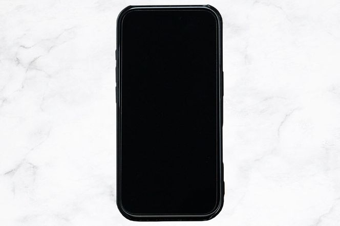 角館樺細工 《樺細工 八柳》 iPhone 17 ケース （無地） 角館工芸協同組合|02_kdk-0k1701a