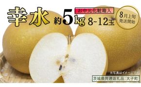 【 お中元 化粧箱入り】 幸水 約5kg (8～12玉)【2026年8月上旬発送開始】(茨城県共通返礼品：大子町) 梨 なし 果物 くだもの フルーツ