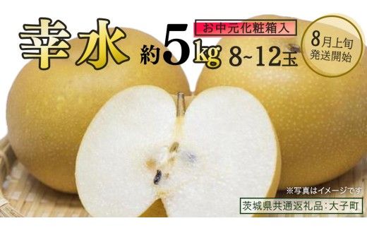 【 お中元 化粧箱入り】 幸水 約5kg (8～12玉)【2026年8月上旬発送開始】(茨城県共通返礼品：大子町) 梨 なし 果物 くだもの フルーツ