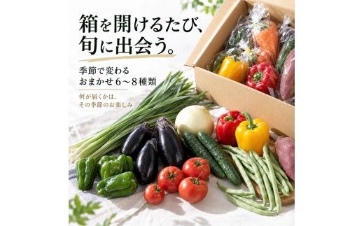 朝どれ！野菜の詰合せ 3ヶ月定期便 芸西村で採れた新鮮な野菜6～8種類をお届けします。 野菜 野菜詰め合わせ 野菜セット 詰め合わせ ナス ピーマン 