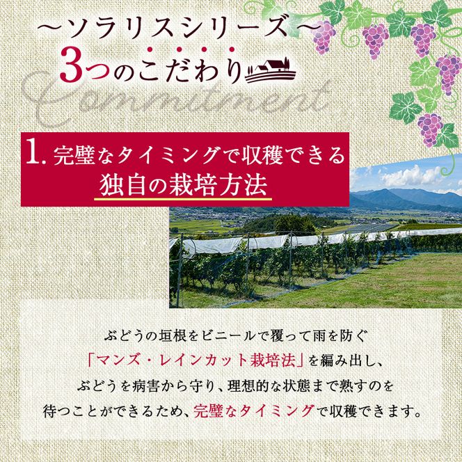 ソラリス 品種飲み比べセット ワインセット ワイン 赤ワイン 白ワイン シャルドネ 辛口ワイン ソーヴィニヨン メルロー スパイシー タンニン 