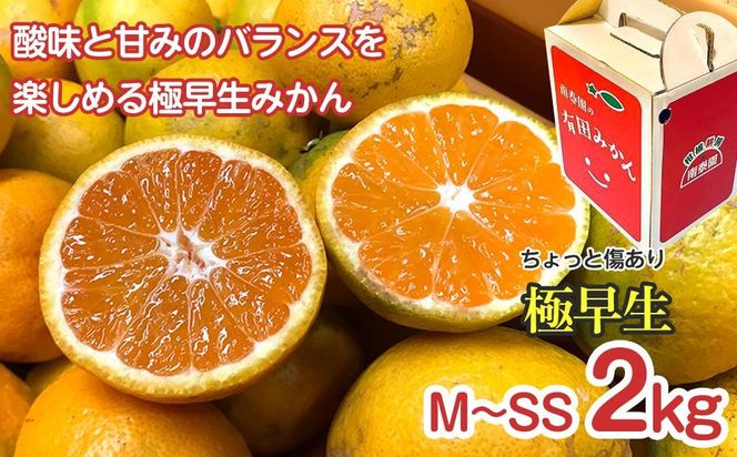 定期便 ちょっと 傷あり 2kg × 3回 コース 有田みかん 食べくらべ 3種 全3回 南泰園 BS820