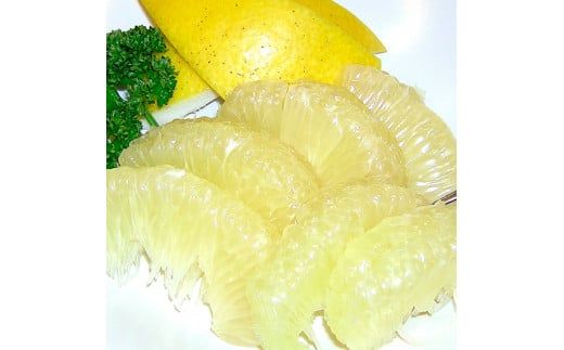 【CF-R7hbk】高知県産 温室文旦 5kg 5キロ 文旦 ブンタン ぶんたん 柑橘 かんきつ 蜜柑 みかん 柑橘類 フルーツ 果物 くだもの デザート おやつ 爽やか 甘い あまい ジュース 美味しい おいしい