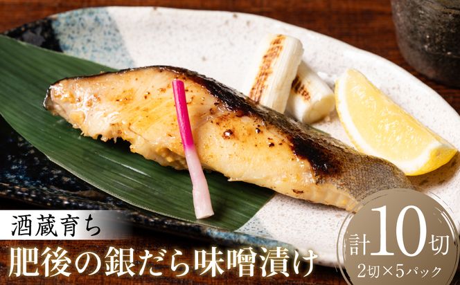 酒蔵育ち 肥後の銀だら 味噌漬け 2切入×5パック 合計10切 おかず レシピ 焼き魚 味噌 漬け 赤酒 タラ 鱈 魚 冷凍 真空パック 熊本県 八代市