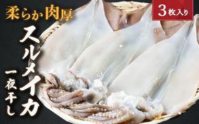 柔らか肉厚のスルメイカ一夜干し 3枚 魚貝類 イカ いか スルメイカ お酒 つまみ 特大 新鮮 保存 冷凍 国産 送料無料 酒の肴 酒のつまみ 