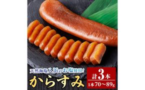 国産 からすみ (3本) カラスミ ボラ 珍味 魚卵 冷凍 おつまみ 大分県 佐伯市【HX002】【山田水産(株)】