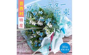【CF-R7hbk】JJM002　《先行予約》芸西村特産ブルースター花束（約30本程度の花束）