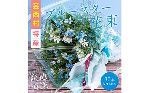 【CF-R7hbk】JJM002　《先行予約》芸西村特産ブルースター花束（約30本程度の花束）