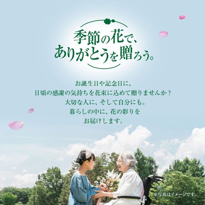 【先行予約】【2026年11月より順次発送】6代続く花農家より直送! 石井農園の「季節の花束」SMCM001