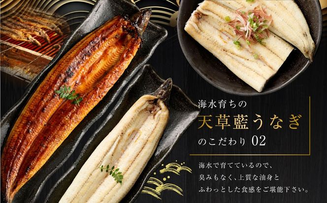 yF{Vszy~Vt̃vpzC炿̓VȂ g5`7Zbgyv1kgzEiM V Ă Ă ʌ!!