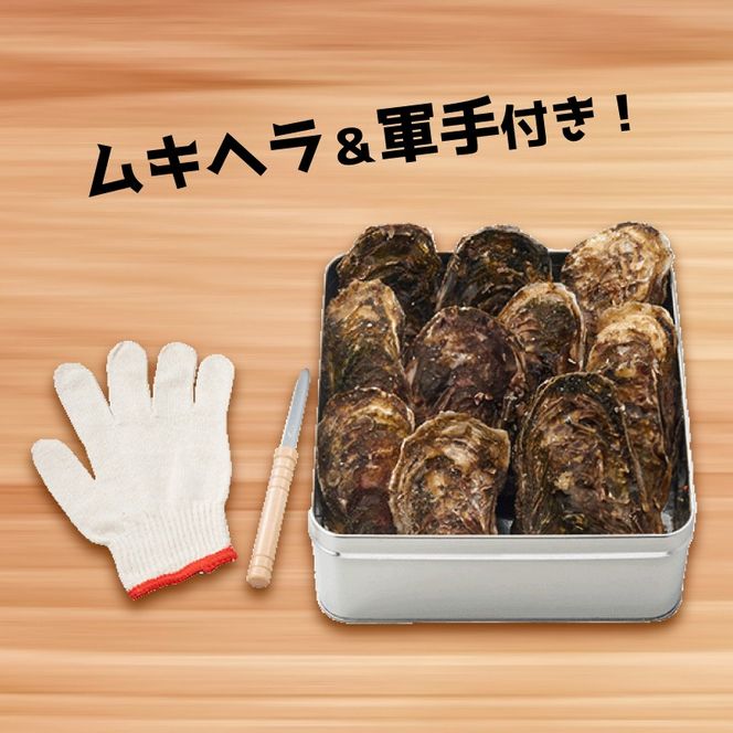殻付き牡蠣 10個 カンカン焼きセット 加熱用 殻付き牡蠣 缶 ムキヘラ 軍手 加工食品 冷凍 鍋 かき 牡蠣 カキ  オイスター oyster アヒージョ バーベキュー BBQ フライ 揚げ物 ごはん 夕飯 おかず おつまみ 晩酌 米 丼 海産物 海鮮 魚介 魚介類 贈答品 お中元 大船渡 三陸 岩手県 国産［56500165_2］