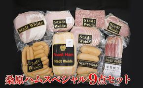 桑原ハムスペシャル9点セット 肉の加工品 バーベキュー BBQ おかず つまみ ロースハム原木 ウインナー フランクフルト ロースハム ベーコン サラミ ボンレスハム 