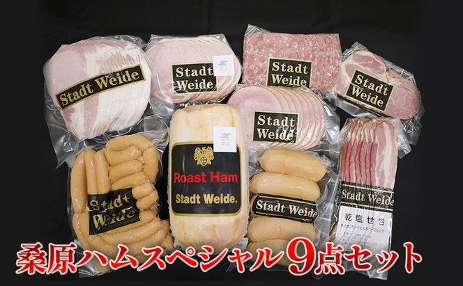 桑原ハムスペシャル9点セット 肉の加工品 バーベキュー BBQ おかず つまみ ロースハム原木 ウインナー フランクフルト ロースハム ベーコン サラミ ボンレスハム 