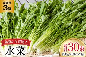 AI335 定期便 3回 水菜 10束 [ 野菜 みずな サラダ やさい 冷蔵 葉物野菜 田中農園 長崎県 島原市 ]