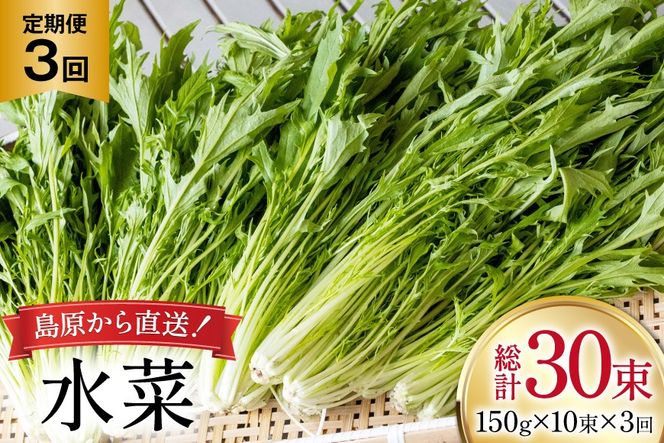 y茧szAI335  3  10 [  ݂ T_ ₳ ① t c_ 茧 s ]