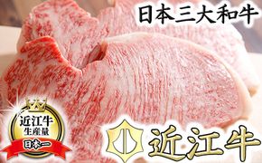 【5等級雌牛】【総本家肉のあさの】極旨近江牛ロースステーキ【400ｇ（200ｇ×2枚）】【AE01W】（国産牛　和牛　ブランド牛　ブランド和牛　黒毛和牛　牛肉　肉　高級　人気　おすすめ　神戸牛　松阪牛 に並ぶ 日本三大和牛 近江牛）