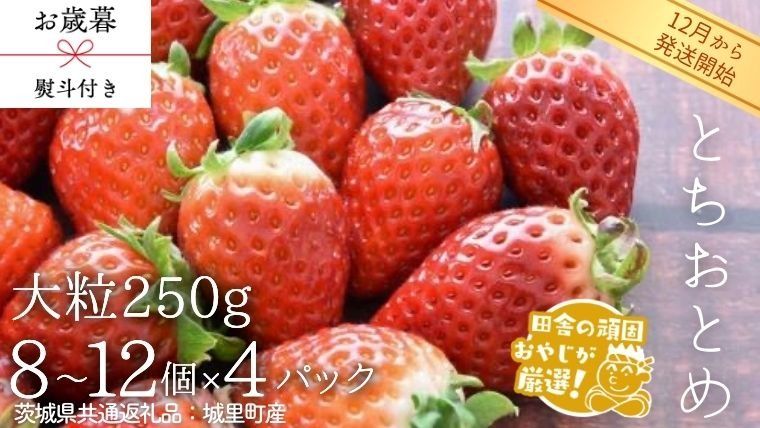 [ お歳暮 熨斗付 ] とちおとめ [いちご] 大粒 250g(8〜12粒)×4パック[2026年12月から発送開始](茨城県共通返礼品 [いちご]:城里町産)いちご 苺 イチゴ とちおとめ [BI371-NT]
