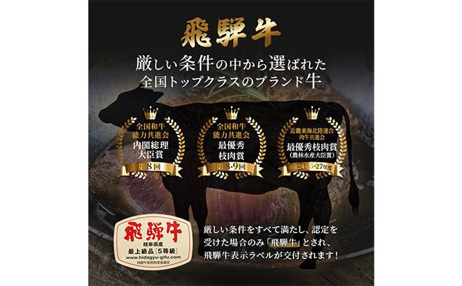 ふるさと納税　飛騨牛 もも肉 赤身 焼肉 500g A5 和牛 牛肉 お肉 モモ モモ肉 焼肉用 バーベキュー BBQ 