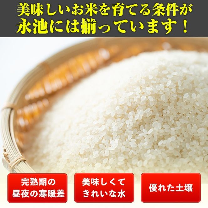 isa966 ＜先行予約受付中！2026年10月中旬から順次発送＞《数量限定》令和8年産 特別栽培米 伊佐米永池 あきの舞(10kg) 伊佐市 永池 特産品 お米 新米 米 白米 精米 伊佐米 あきの舞 10kg 【エコファーム永池】