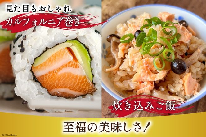 訳あり トロサーモン 切り落とし 1kg 125g×8p [足利本店 宮城県 気仙沼市 20564914] 鮭 海鮮 魚介類 お刺し身 刺し身 個包装 チリ銀鮭 銀鮭 海鮮丼 魚介 魚 トロ 無添加 小分け