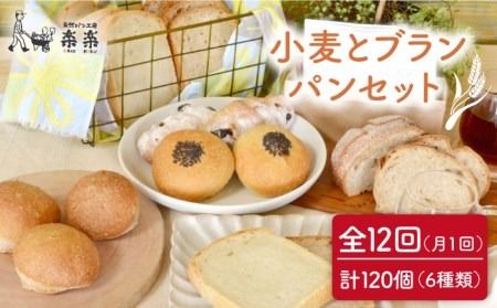 【 全12回 定期便 】栽培期間 農薬 科学肥料 不使用 小麦 と ブラン の パン セット ( 卵 / 乳製品 不使用 )《糸島》【天然パン工房楽楽】【いとしまごころ】[AVC020]
