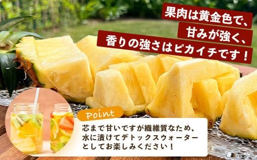 《2026年5月中旬以降順次発送》香りに溺れる！？ 完熟の極 てとの黄金パイン大玉約4kg【 沖縄 石垣 ゴールデン 黄金 パイン パイナップル 完熟 大玉 セット フルーツ デザート 】 TF-25_R8