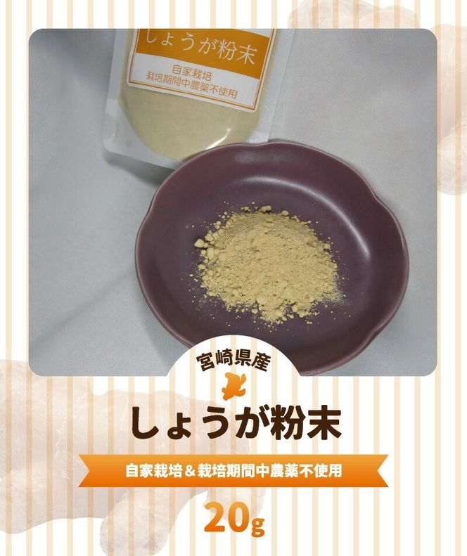 しょうが 粉末 N048-YA0494