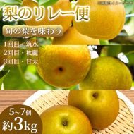 【旬の梨を味わう】熊本県産 リレー便(各5～7個)(約3kg)(1回目)筑水(2回目)秋麗(3回目)甘太 梨 フルーツ 詰め合わせ 食べ比べ 甘い 濃厚 農家直送 ギフト 贈答用 家庭用 お取り寄せ 熊本県