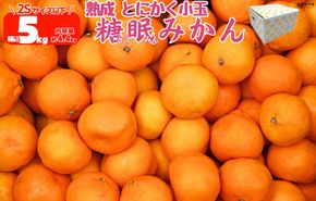 ［先行予約］熟成 みかん とにかく 小玉 箱込5kg ( 内容量 4.4kg ) 2Sサイズ以下 秀品 優品 混合 有田みかん 和歌山産 産地直送 家庭用 【みかんの会】 AX340