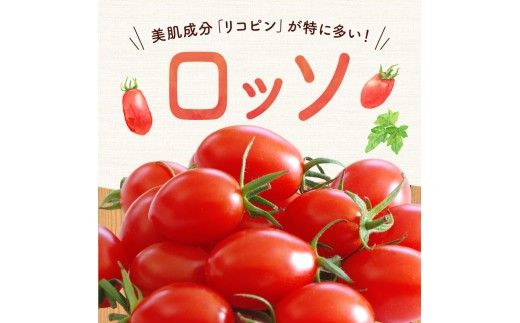 【先行予約2026年7月】子供も大好き！フルーツのように甘いミニトマト2種 各2kg トマトベリー & Nicoロッソ_Y124-0023